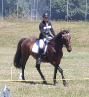 Maddisyn Chapman - Horse Riding Event