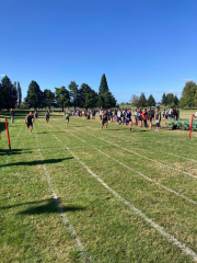 King Country, South, North and West Waikato Athletic Zones