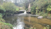 Pokaiwhenua Stream Restoration